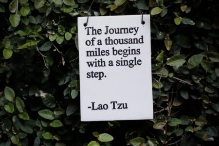 Leadership : wise words of Lao Tzu